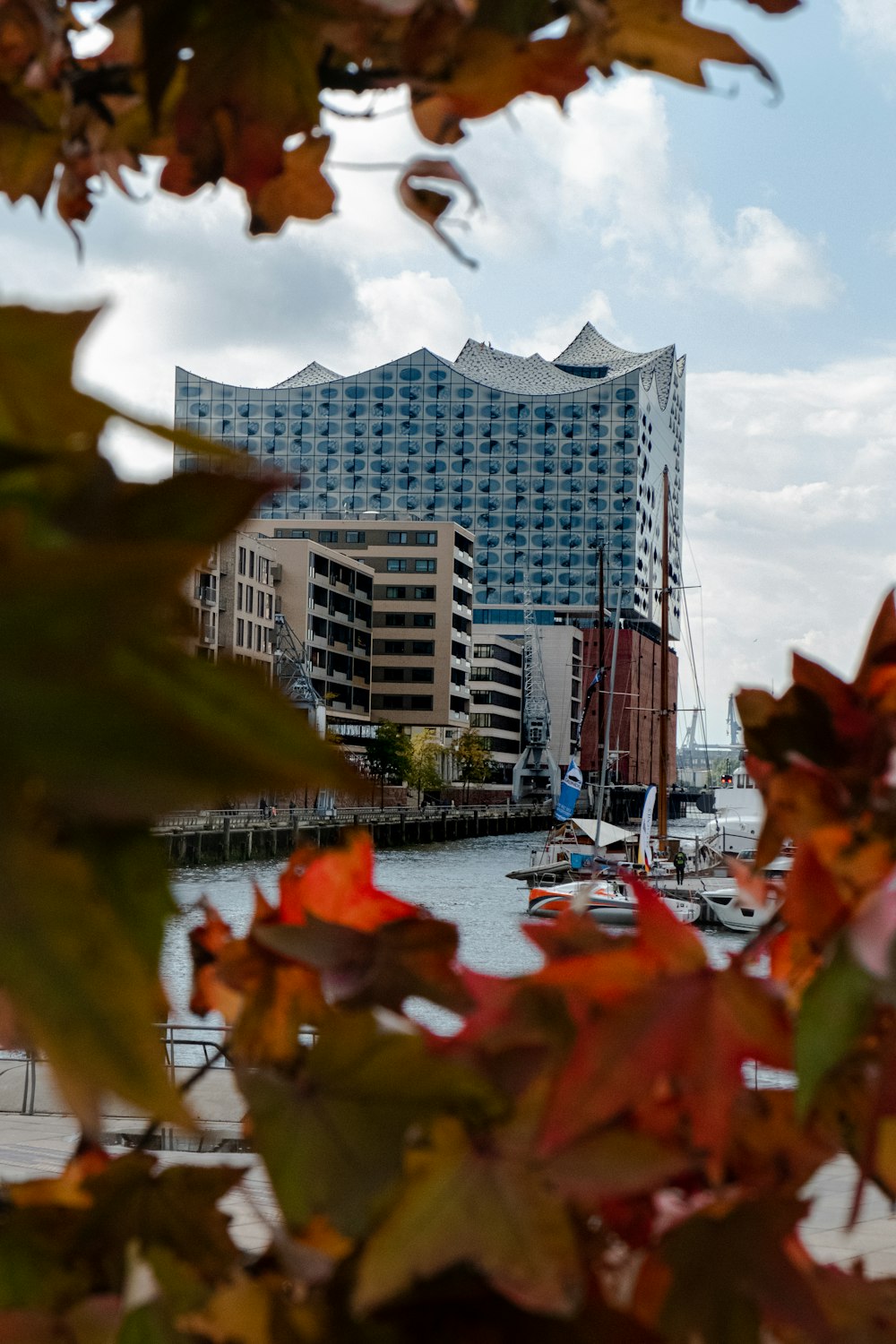 different boats on road viewing city with high-rise buildings under white and blue sky during daytime