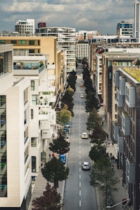 Aerial view of a tree-lined urban street with modern buildings and cars.