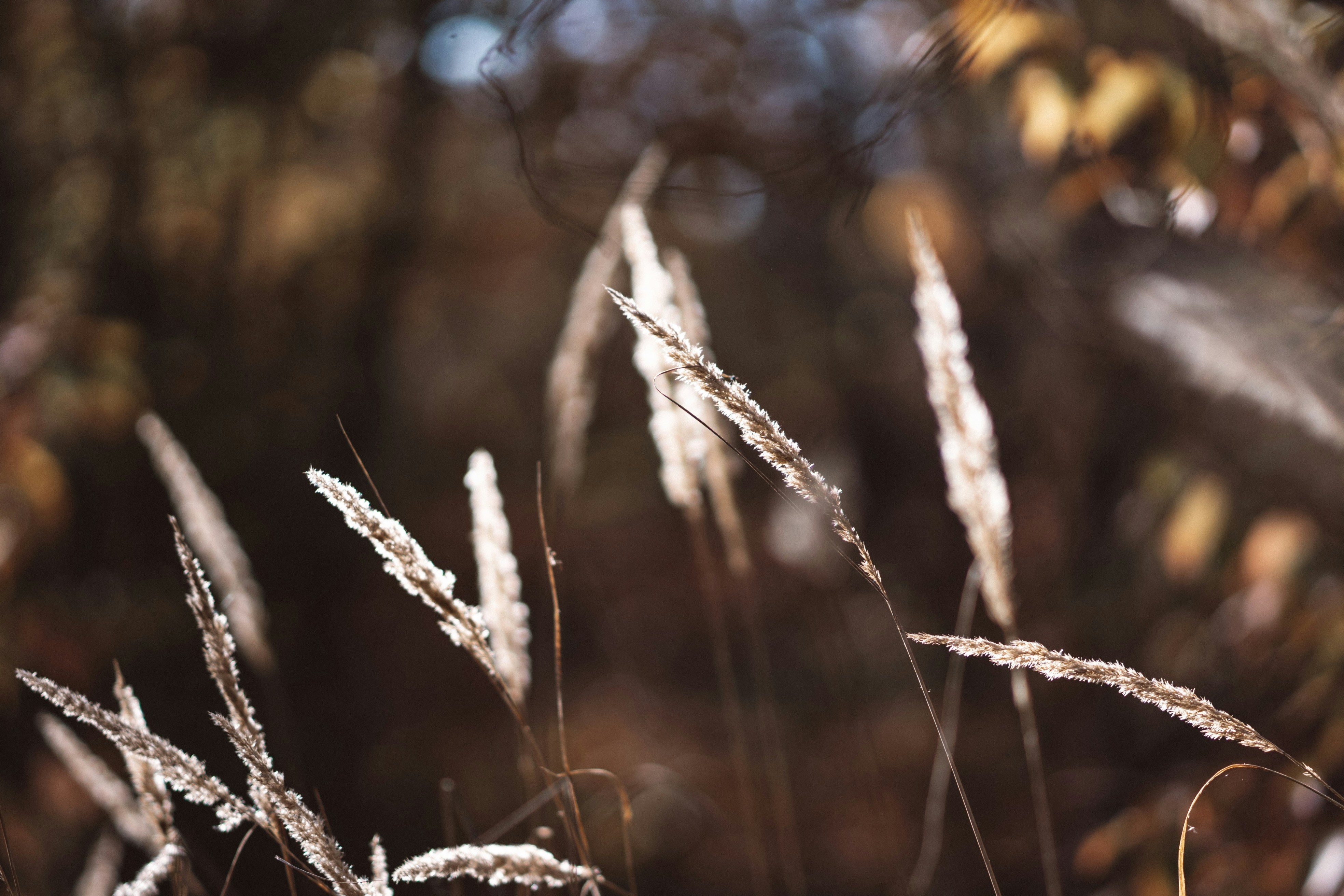 Photo by eugenechystiakov