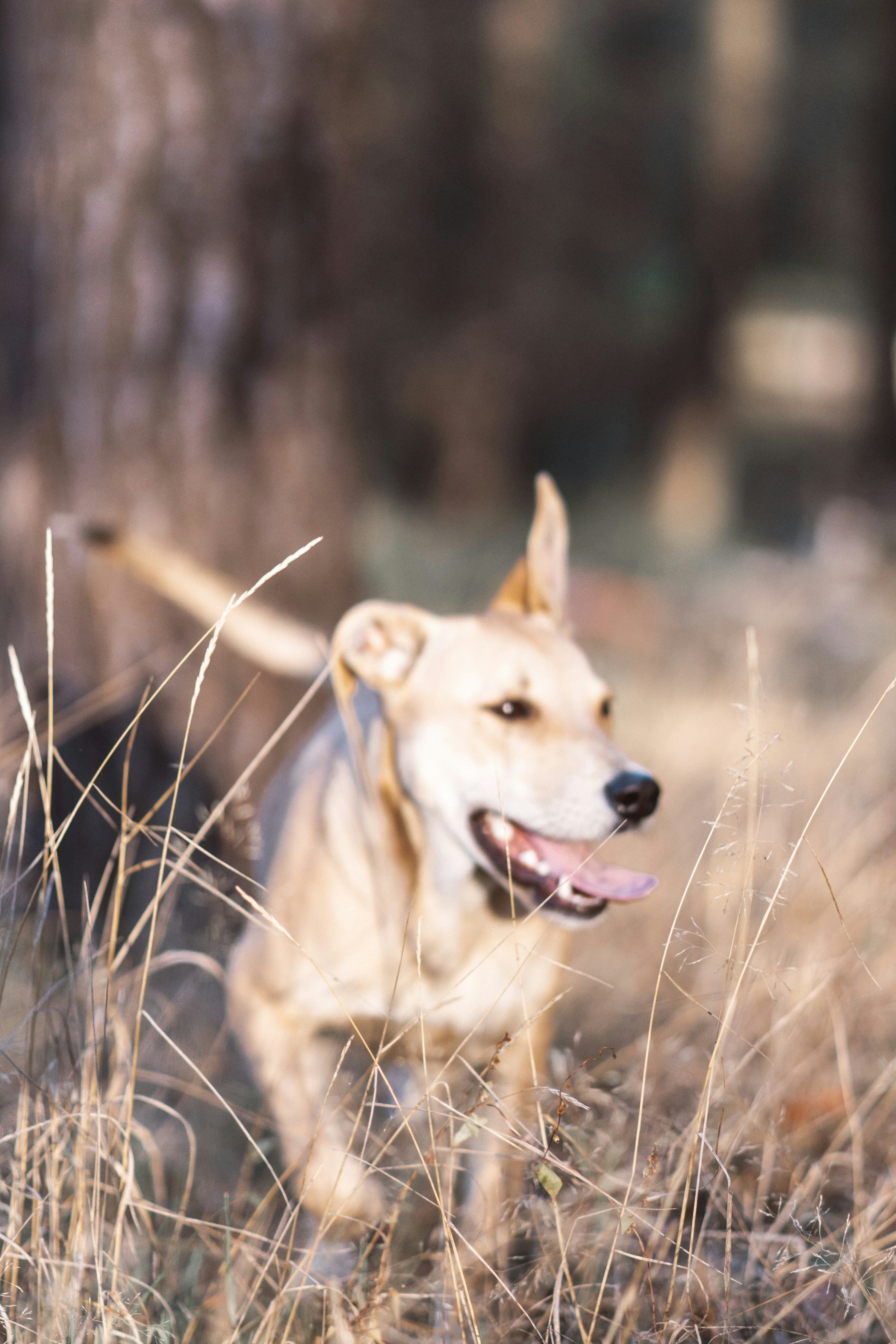 Photo by eugenechystiakov