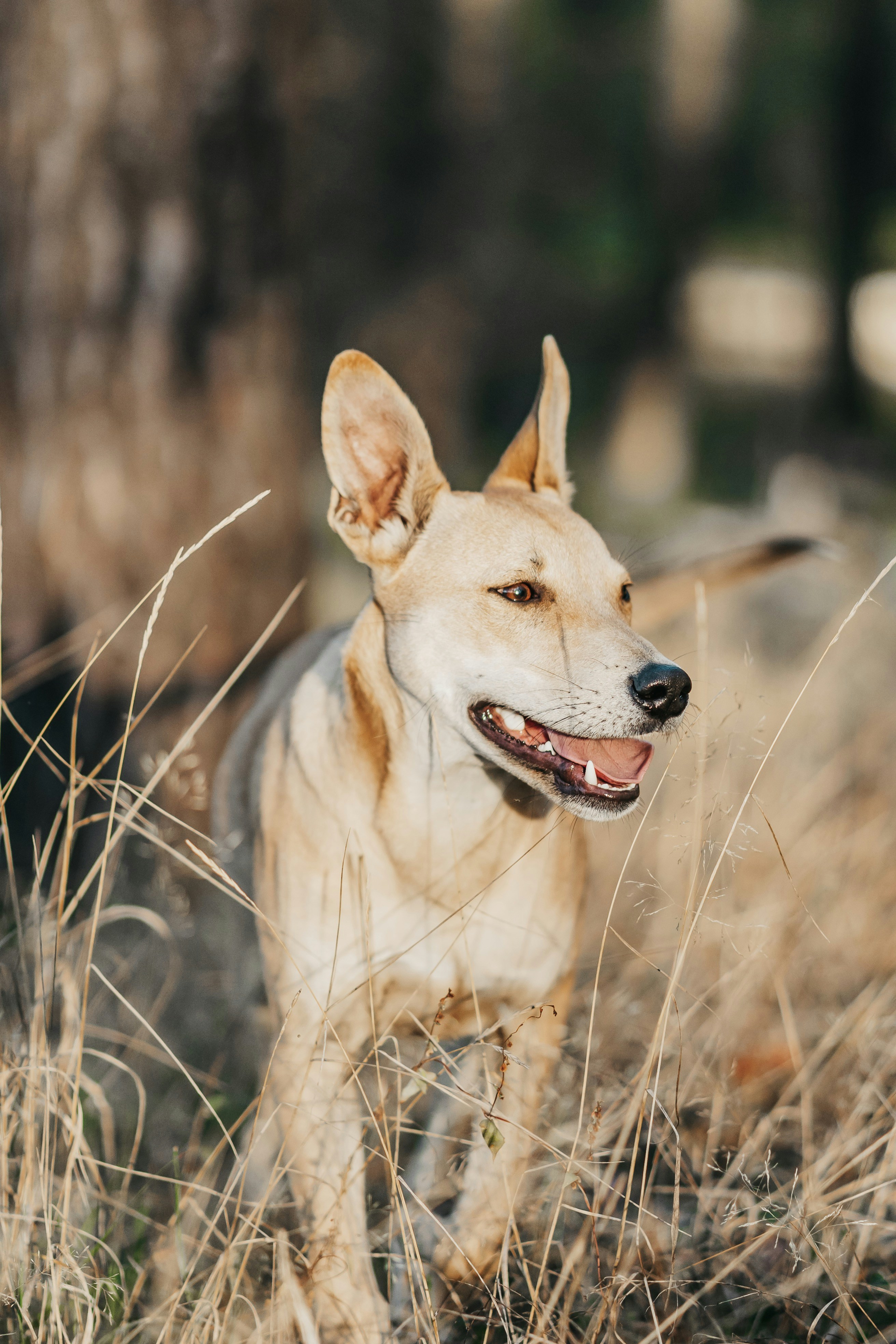 Photo by eugenechystiakov