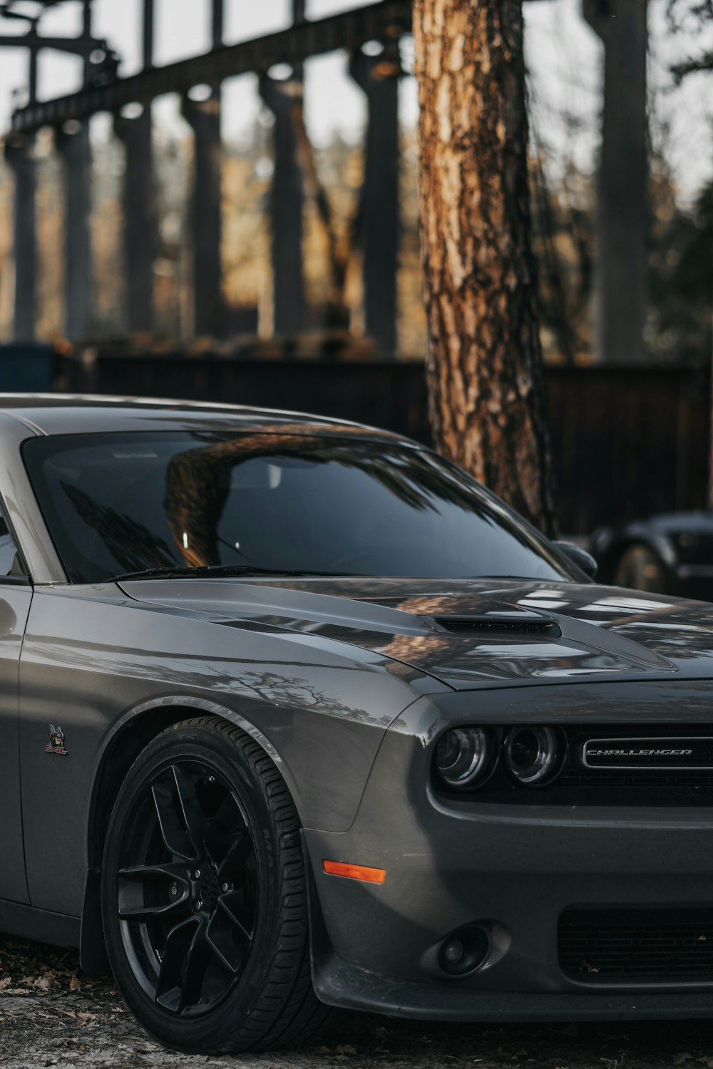 gray Dodge Challenger coupe parking near tree