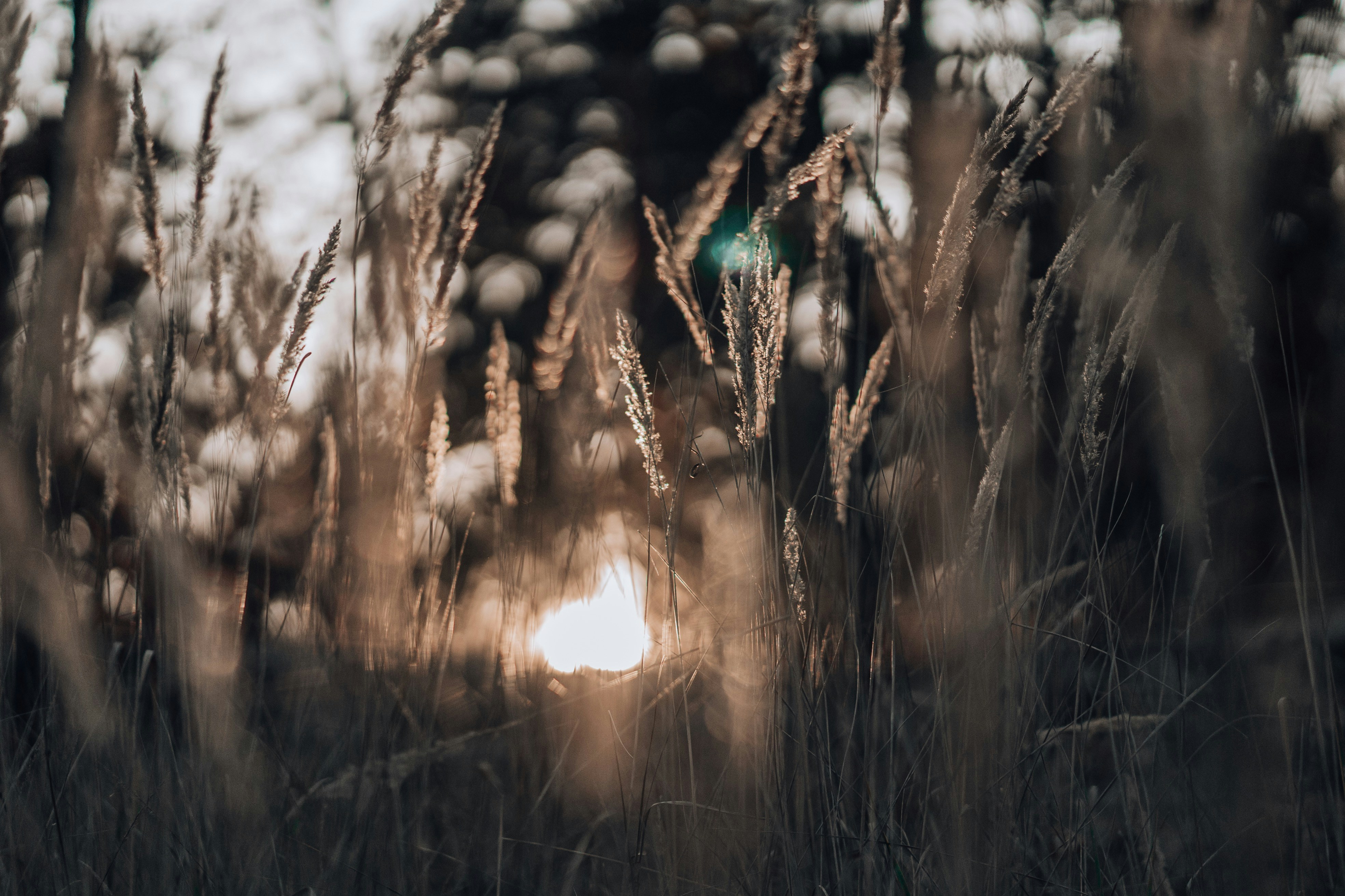 Photo by eugenechystiakov