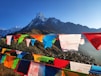 assorted-color buntings on mountains during daytime