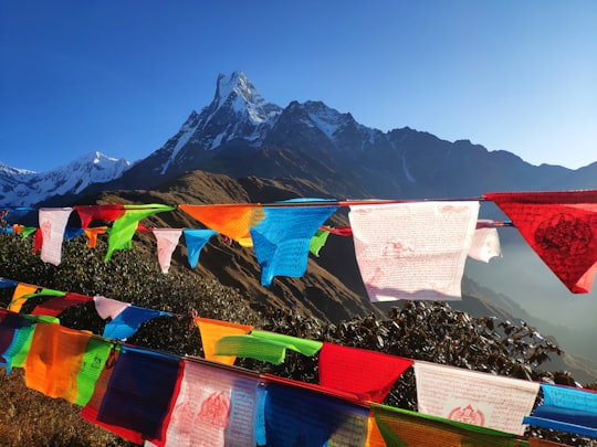 assorted-color buntings on mountains during daytime in Annapurna Conservation Area Nepal