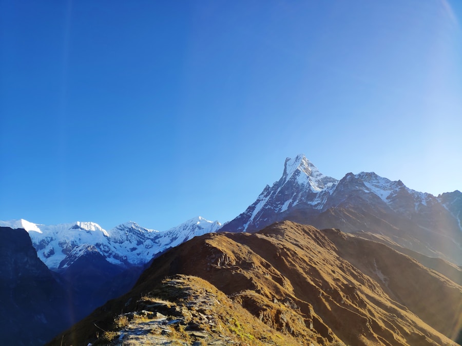 Annapurna mountain teahouse Nepal forest trail