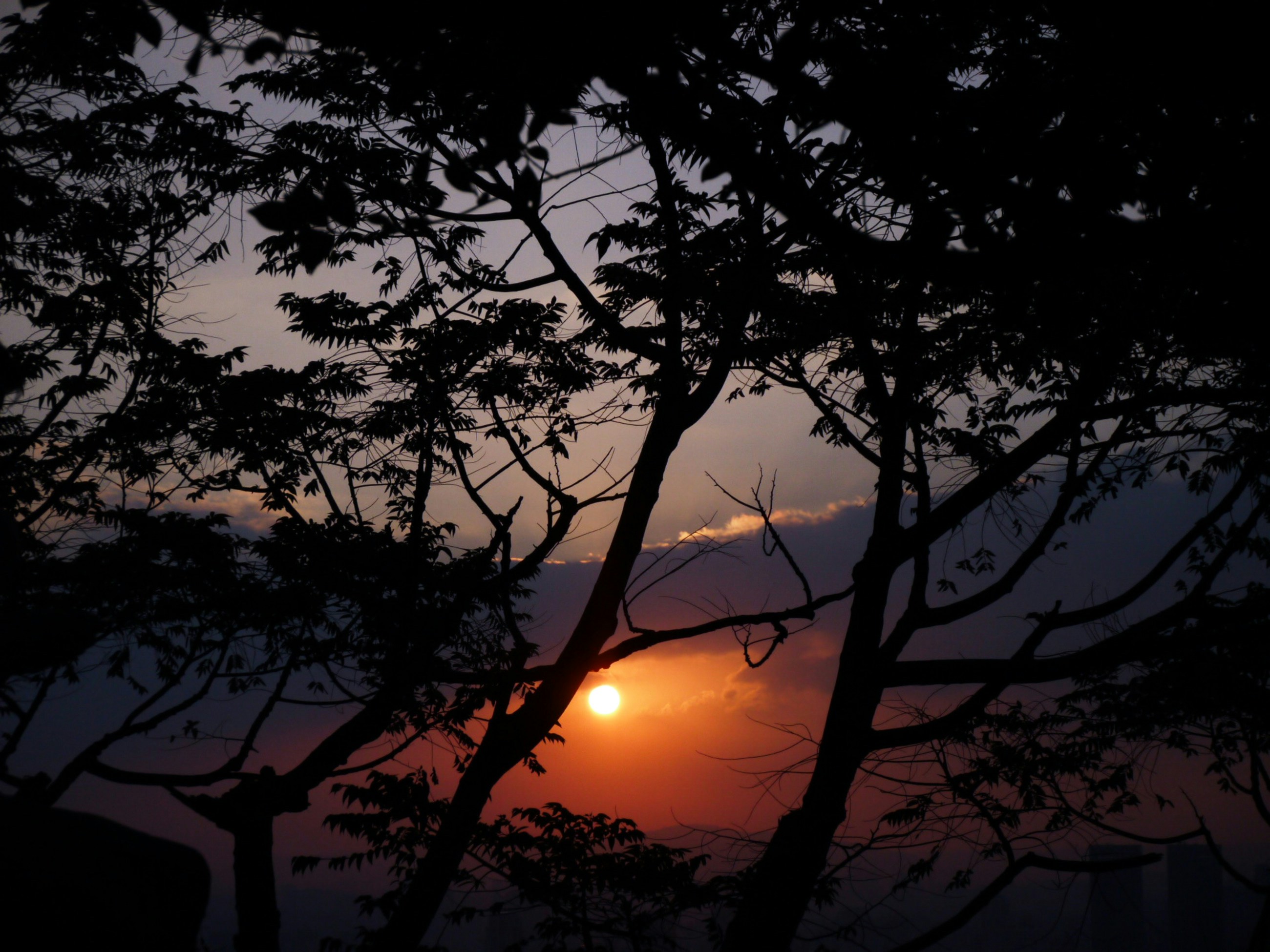 Photo by andyadcon