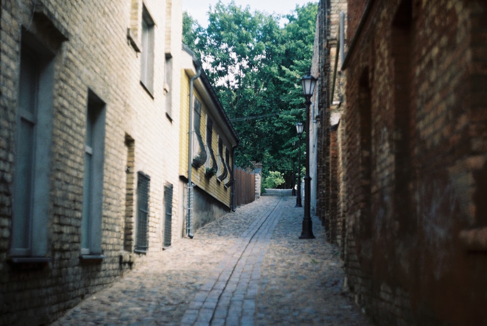 empty pathway surrounded by buildings