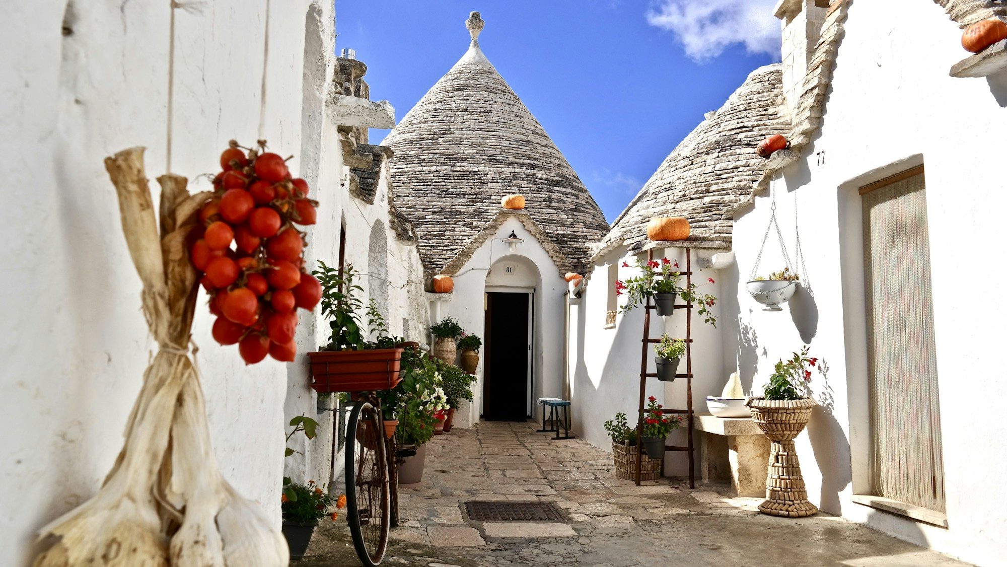 6 Day Puglia Wine Discovery