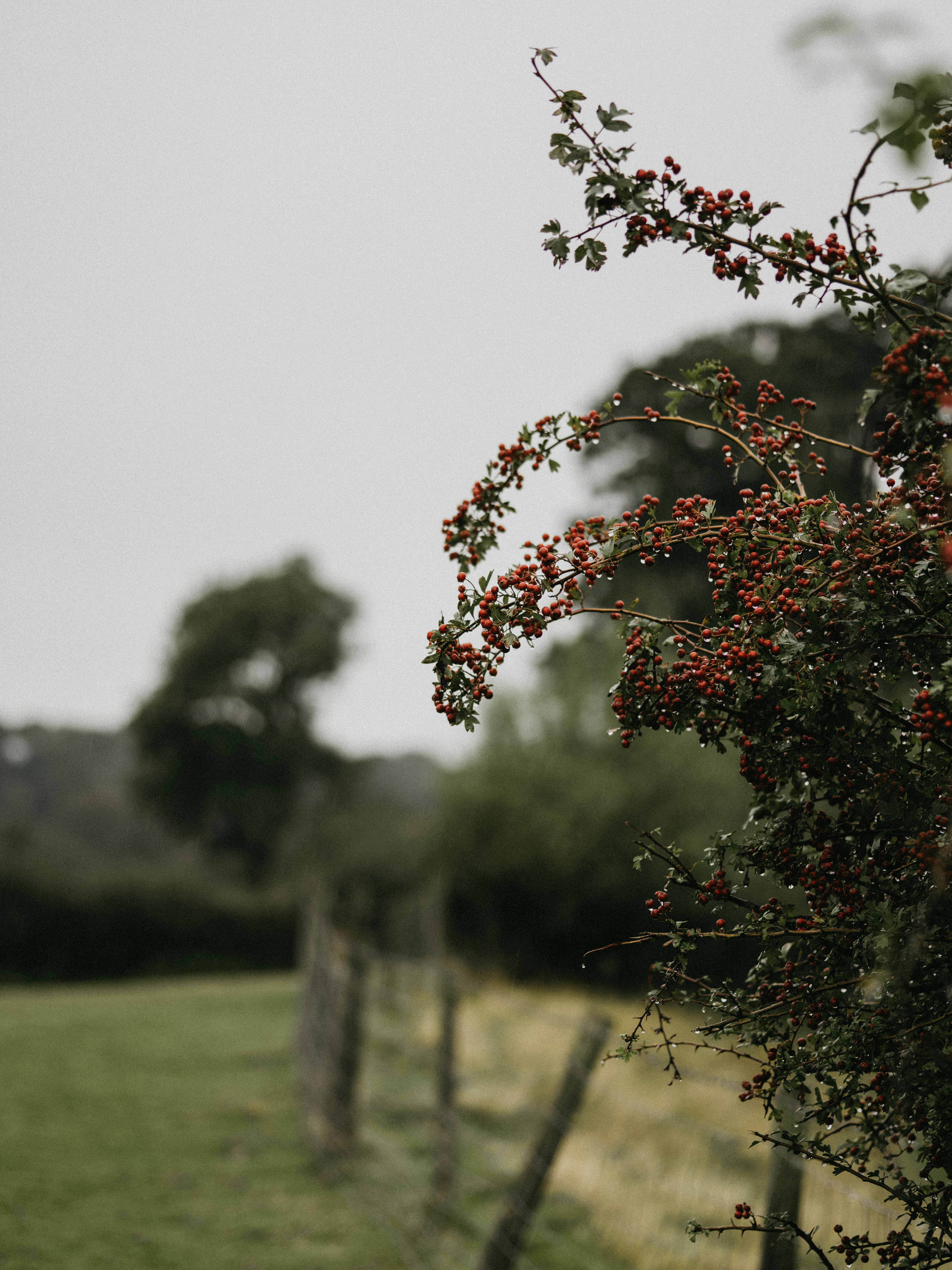 Photo by anniespratt