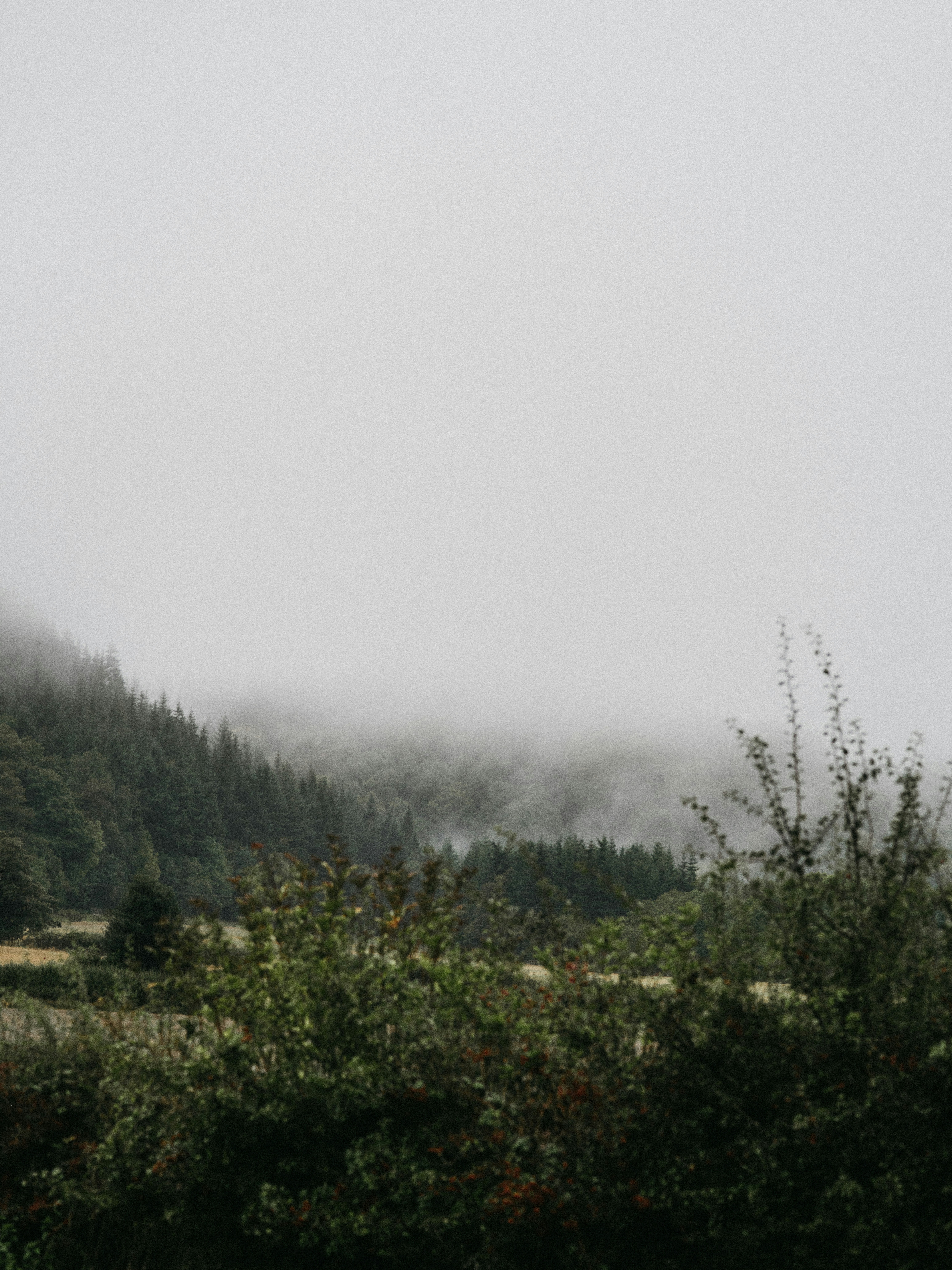 Photo by anniespratt