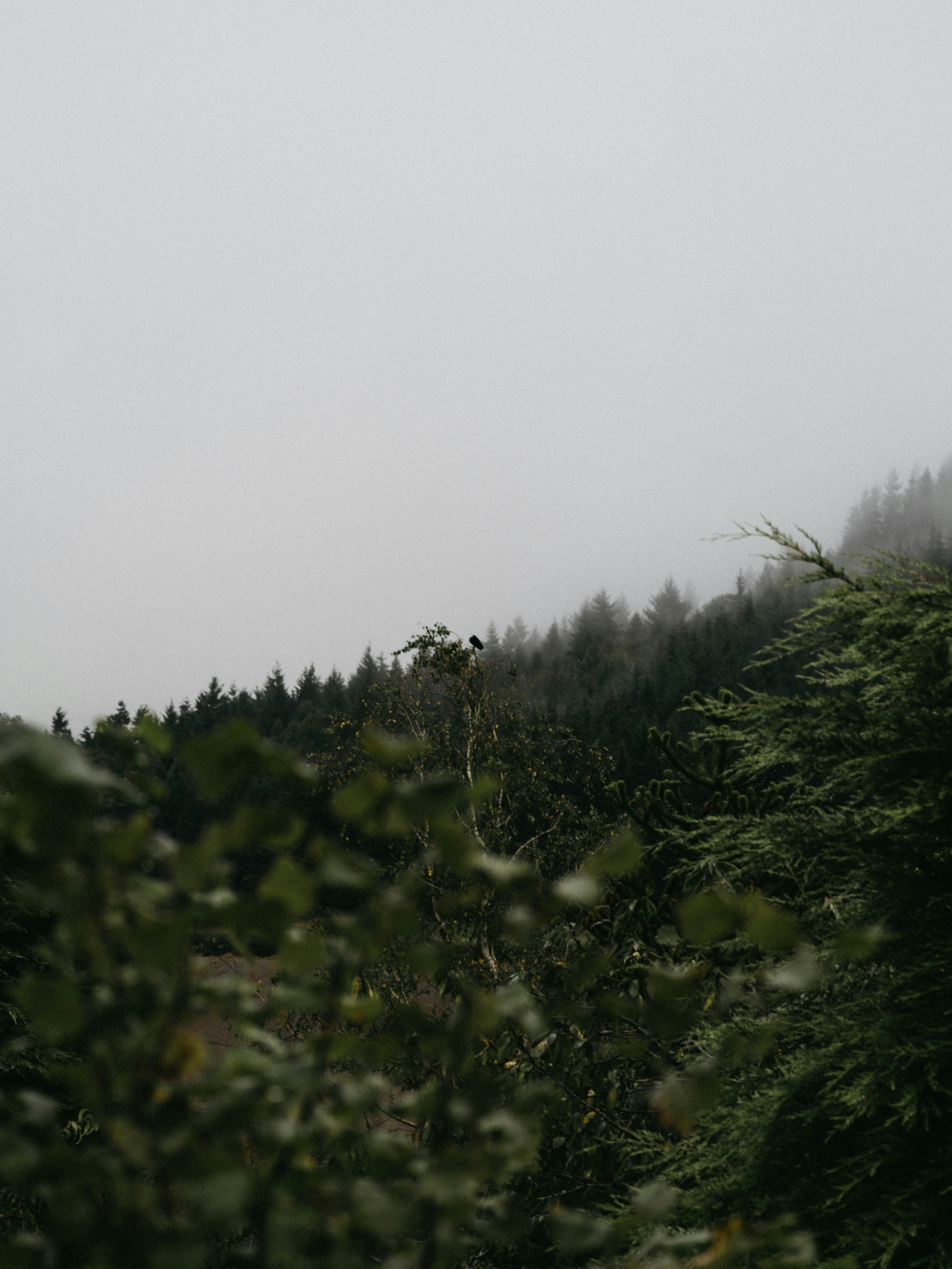 Photo by anniespratt