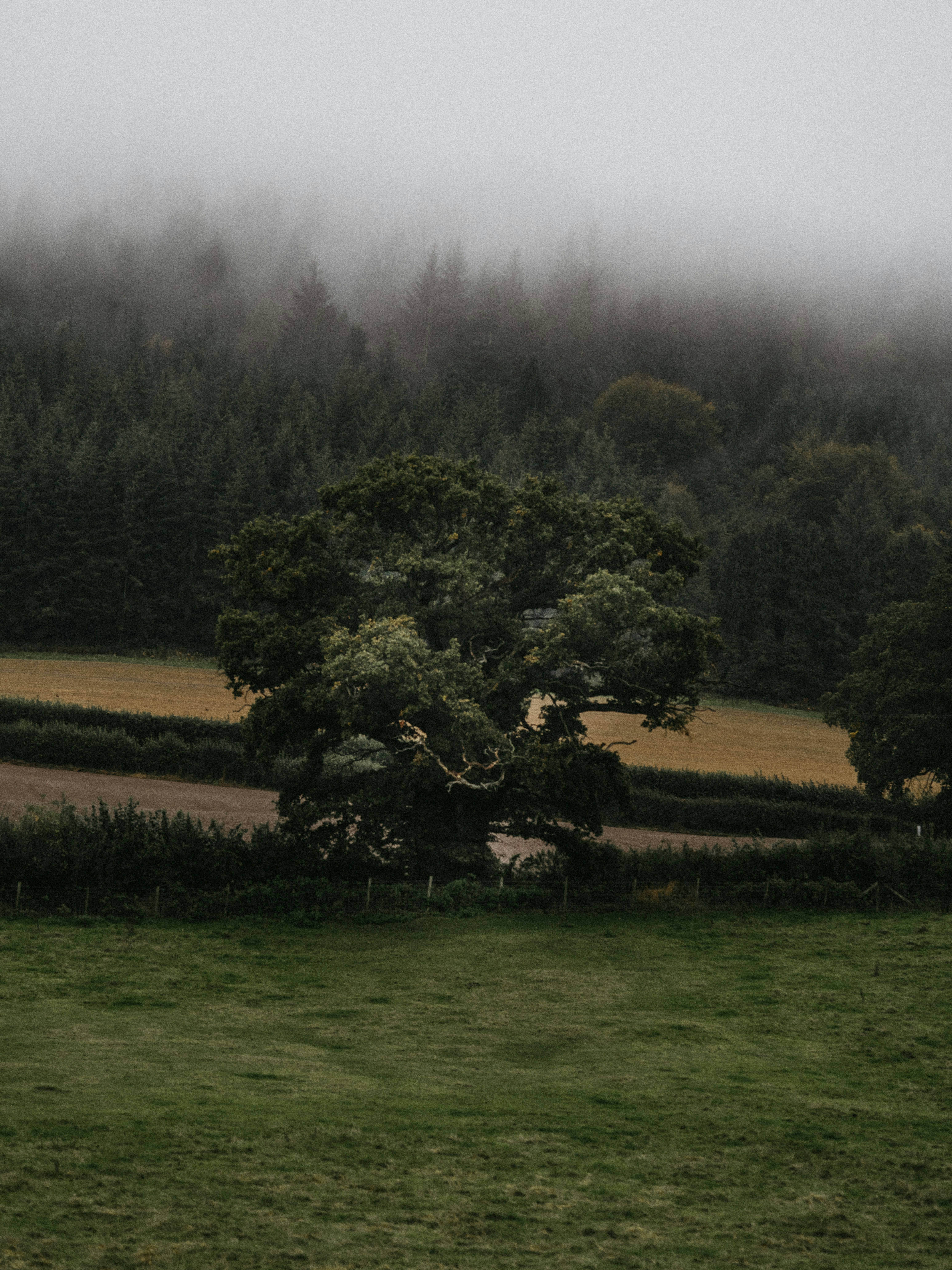 Photo by anniespratt