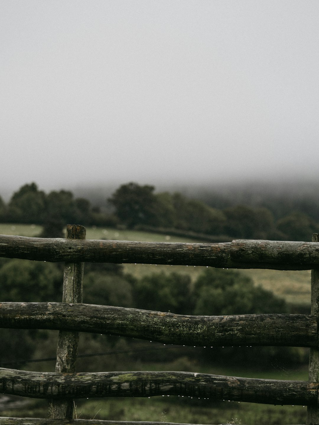 brown wooden fence