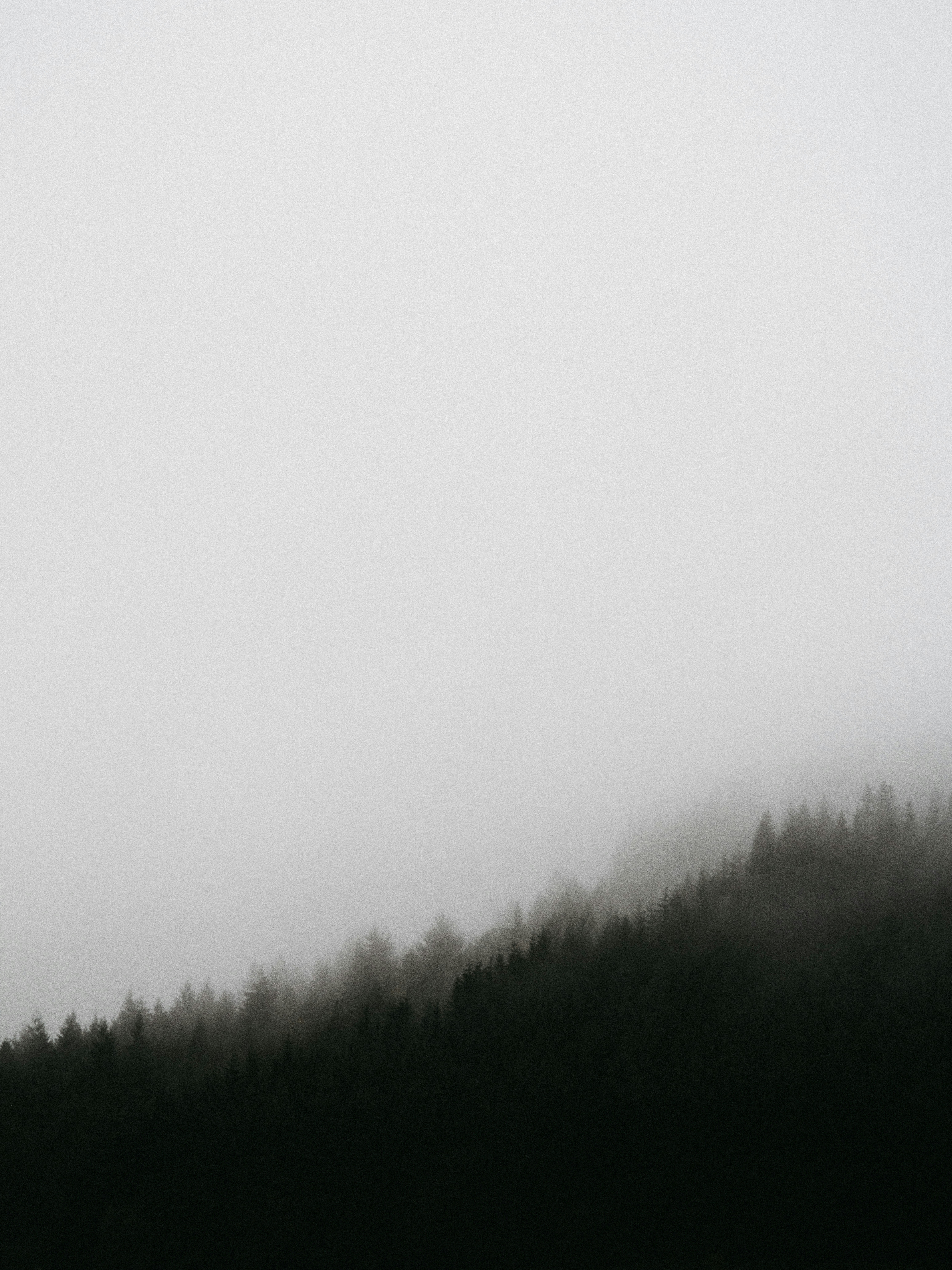 Lock Screen Wallpapers Free Hd Download 500 Hq Unsplash