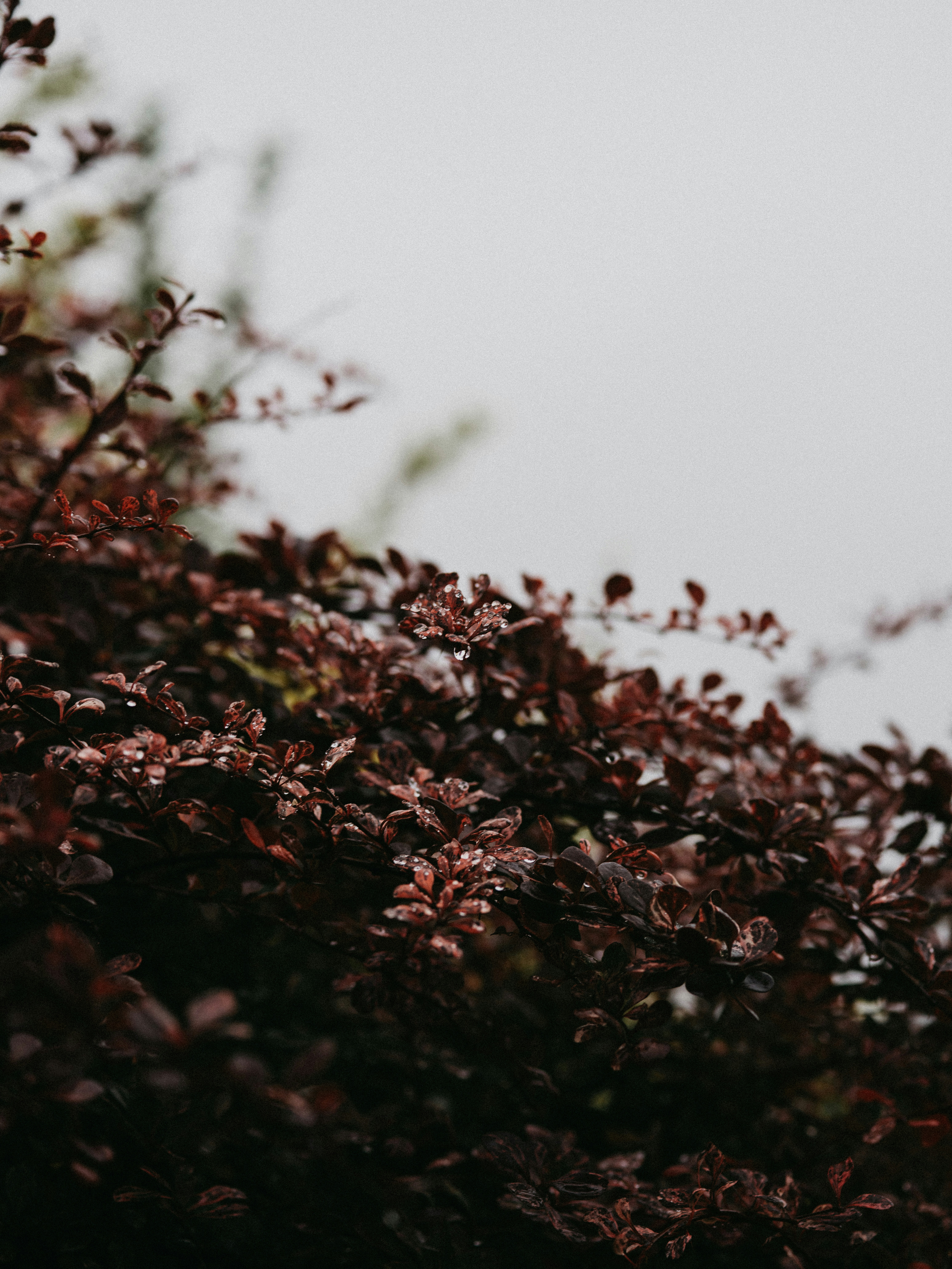 Photo by anniespratt