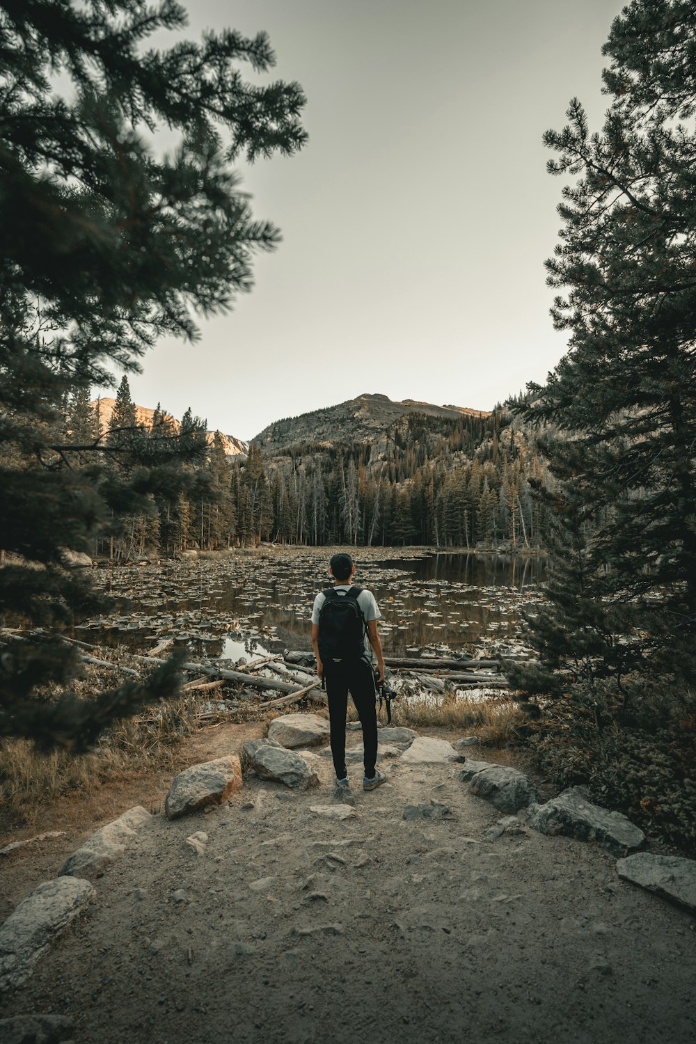 man wearing black backpack standing beside trees