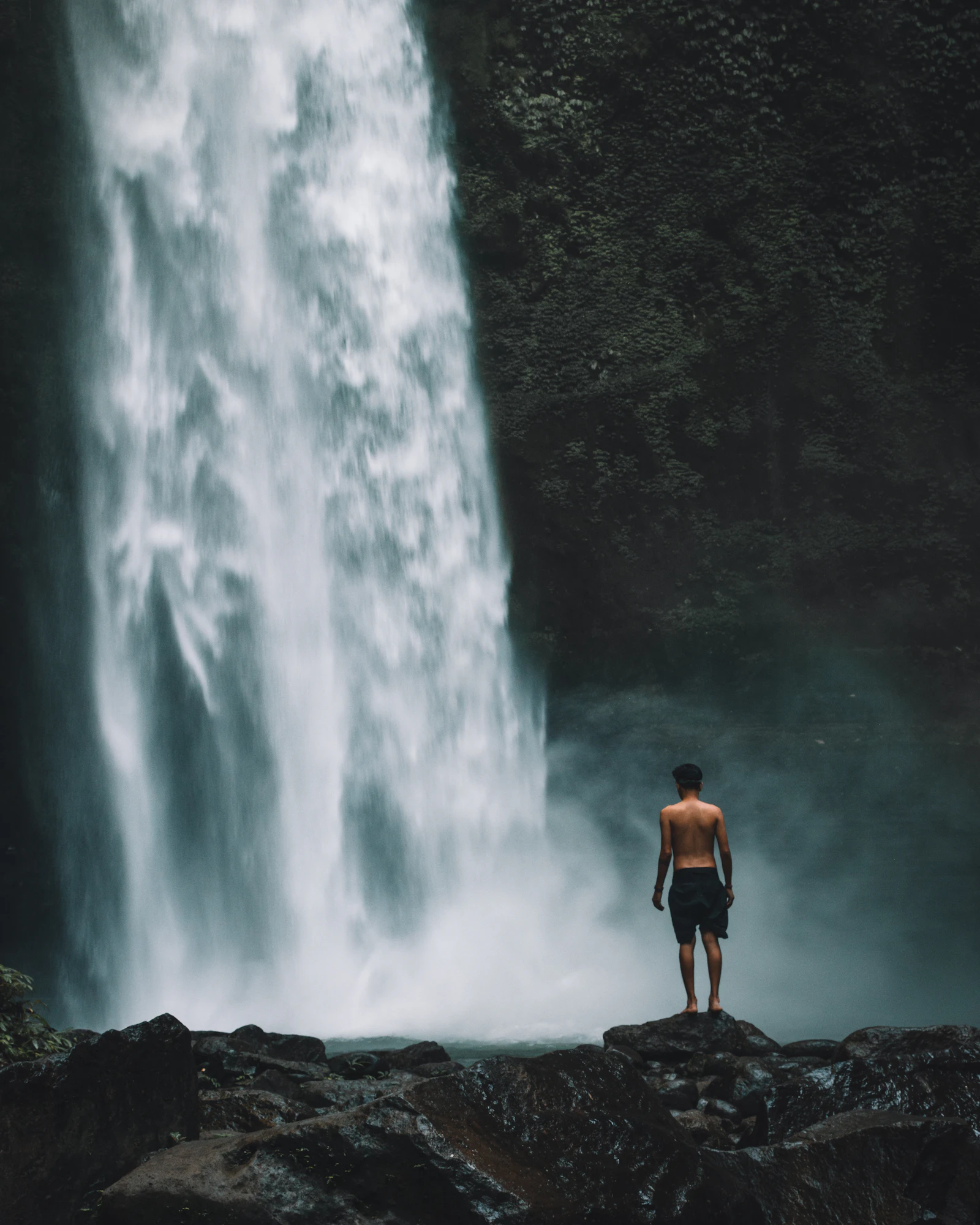 A forest waterfall near Ubud in Bali