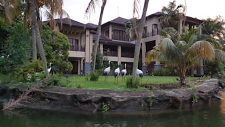 A luxurious house is surrounded by lush greenery and palm trees, featuring a manicured lawn where several tall birds are standing. The building has a modern architectural style with large windows and a spacious veranda.