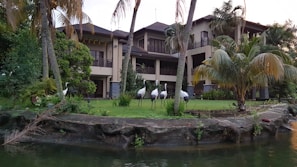 A luxurious house is surrounded by lush greenery and palm trees, featuring a manicured lawn where several tall birds are standing. The building has a modern architectural style with large windows and a spacious veranda.