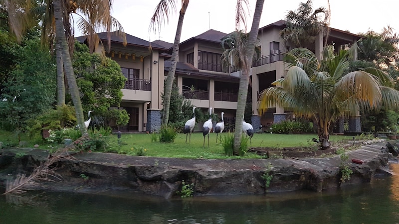 A luxurious house is surrounded by lush greenery and palm trees, featuring a manicured lawn where several tall birds are standing. The building has a modern architectural style with large windows and a spacious veranda.