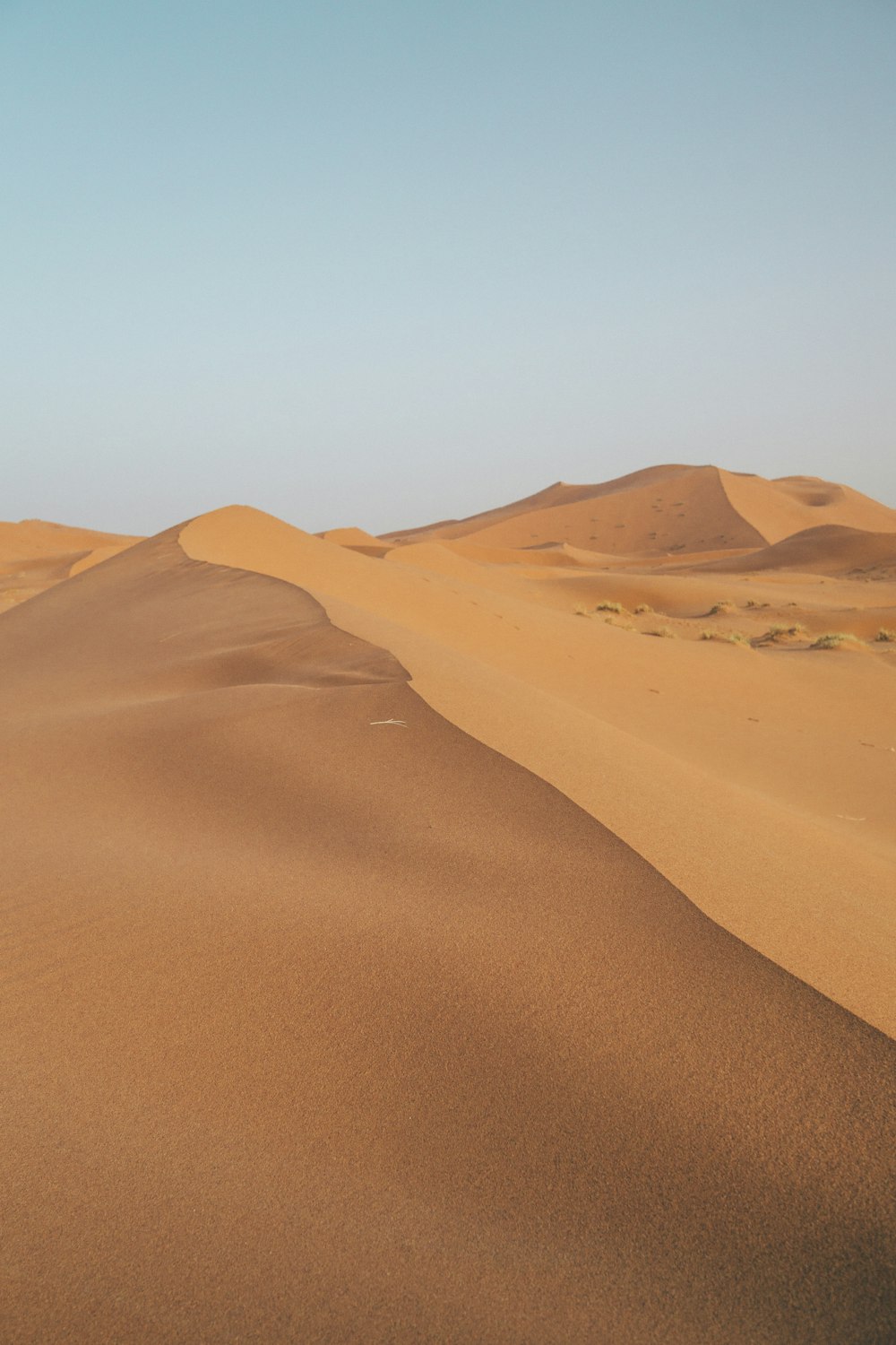 sable du désert pendant la journée