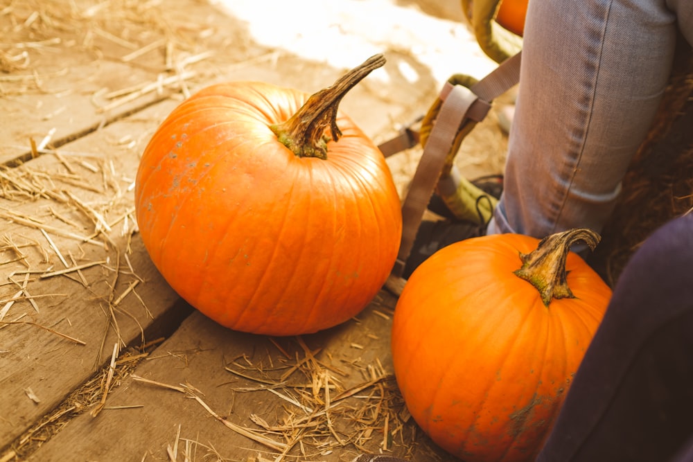 two orange pumpkins on plank