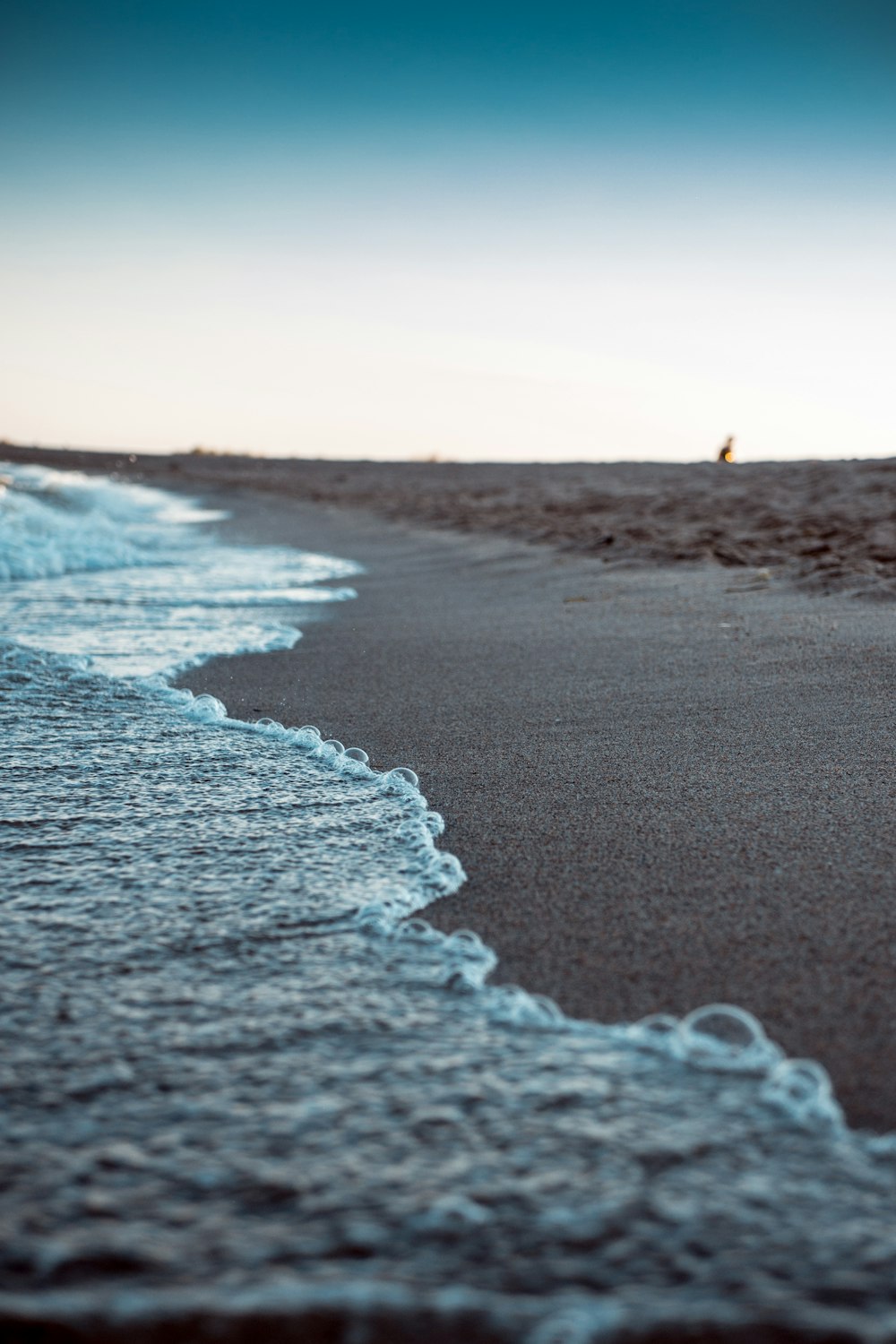 seashore during daytime