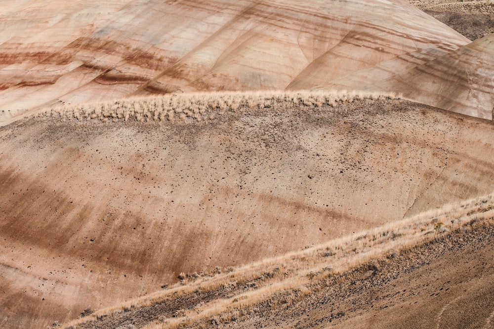 brown rock formation