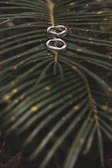 Close-up of a delicate silver ring with leaf motifs resting on a bed of pine needles.