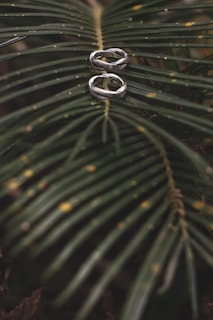 Blue and green stainless steel rings inspired by palm leaves displayed on a beige background