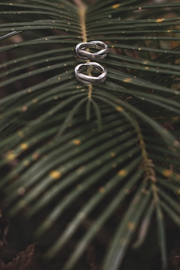 Blue and green stainless steel rings inspired by palm leaves displayed on a beige background