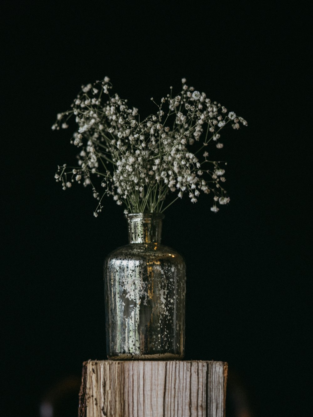 white flowers on grey pot