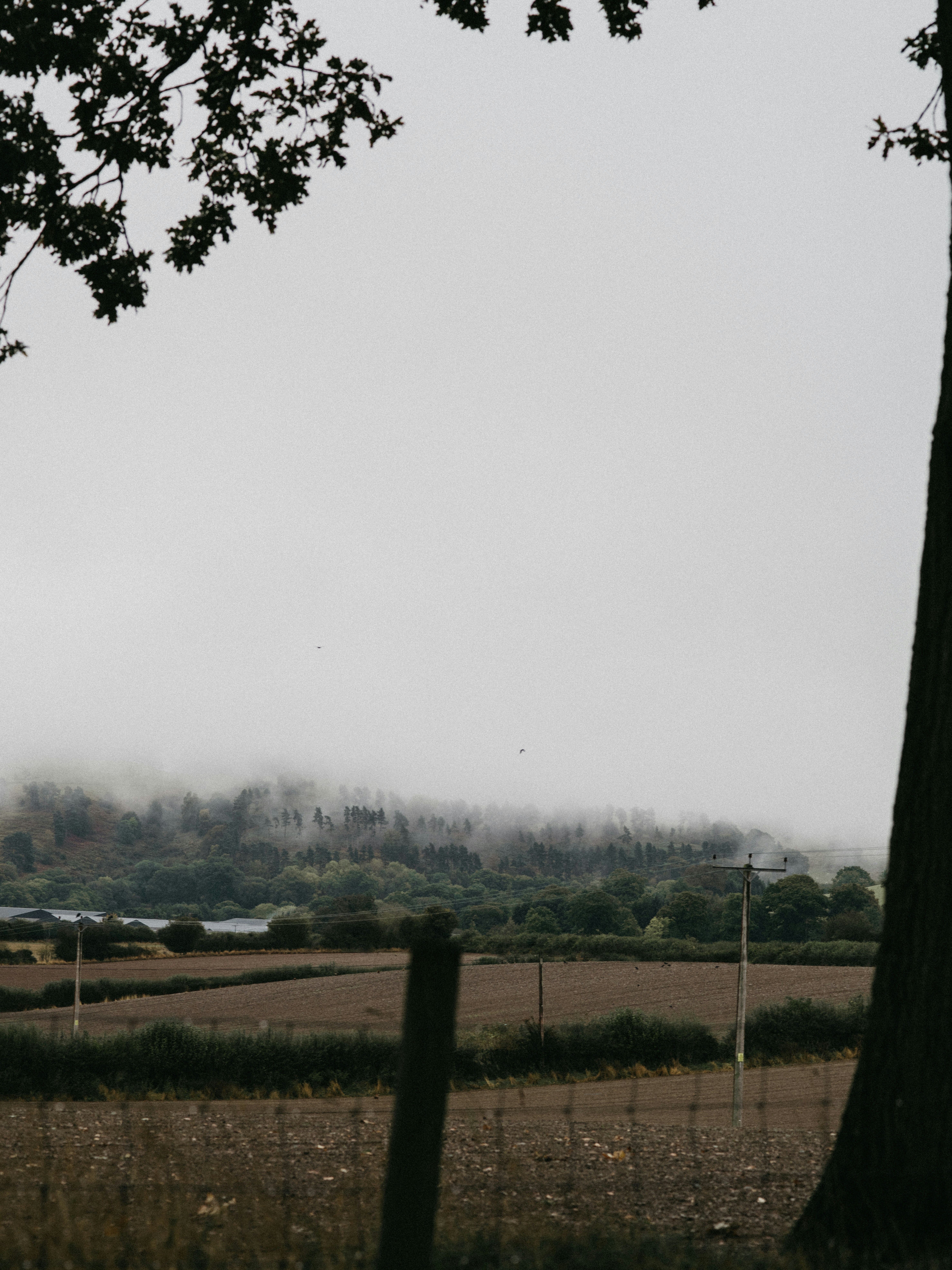 Photo by anniespratt
