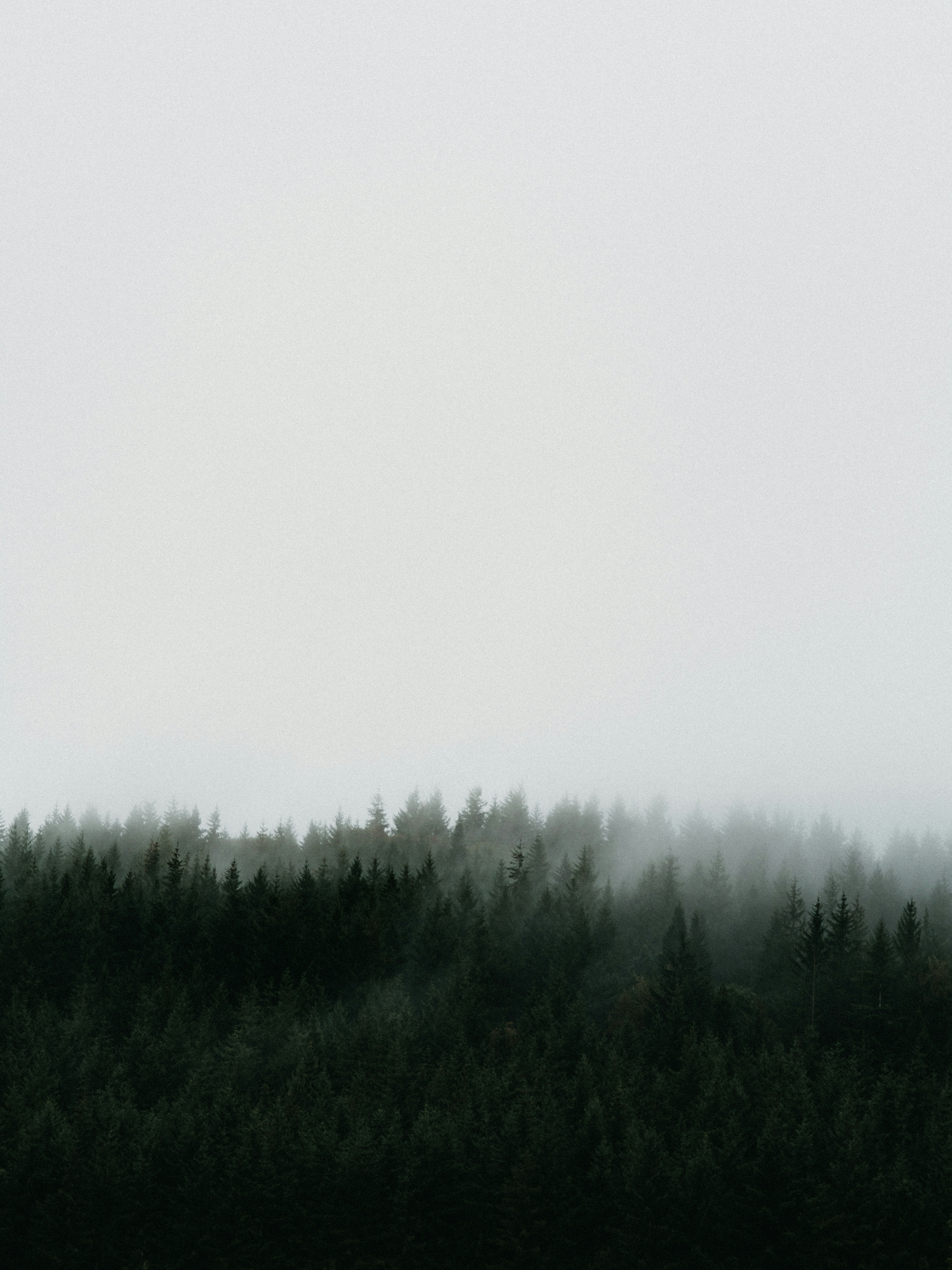 syndrome de la cabane