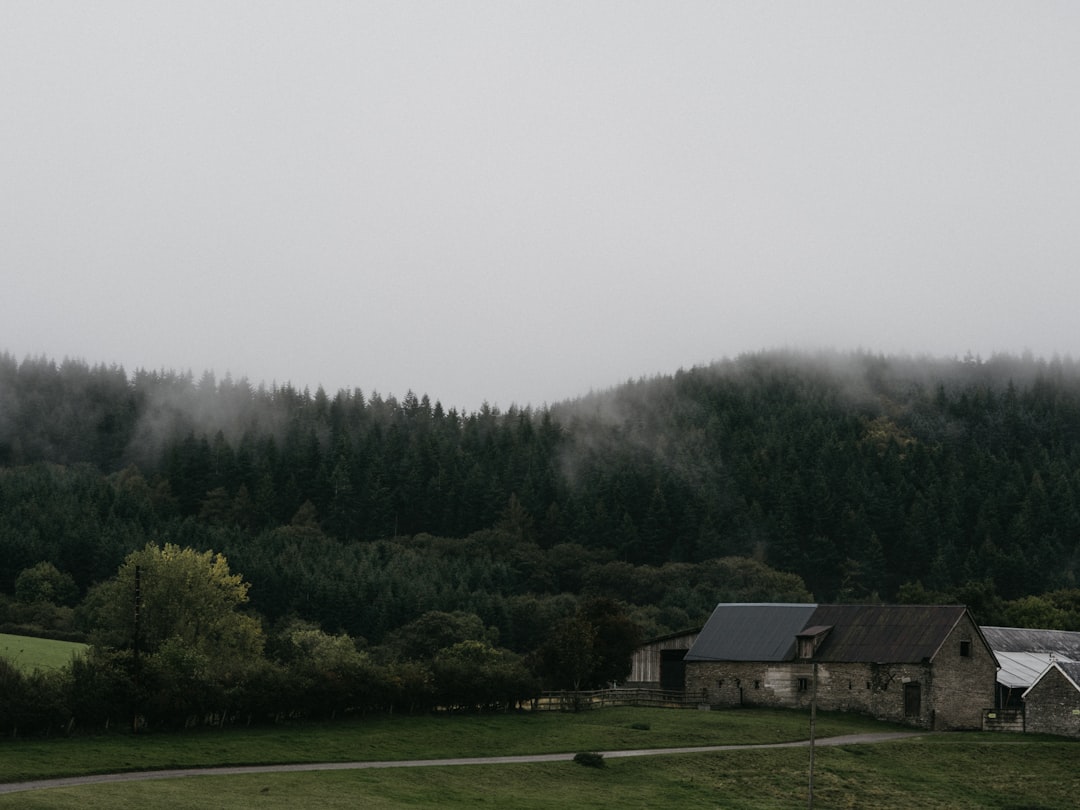 brown wooden house beside trees during daytime