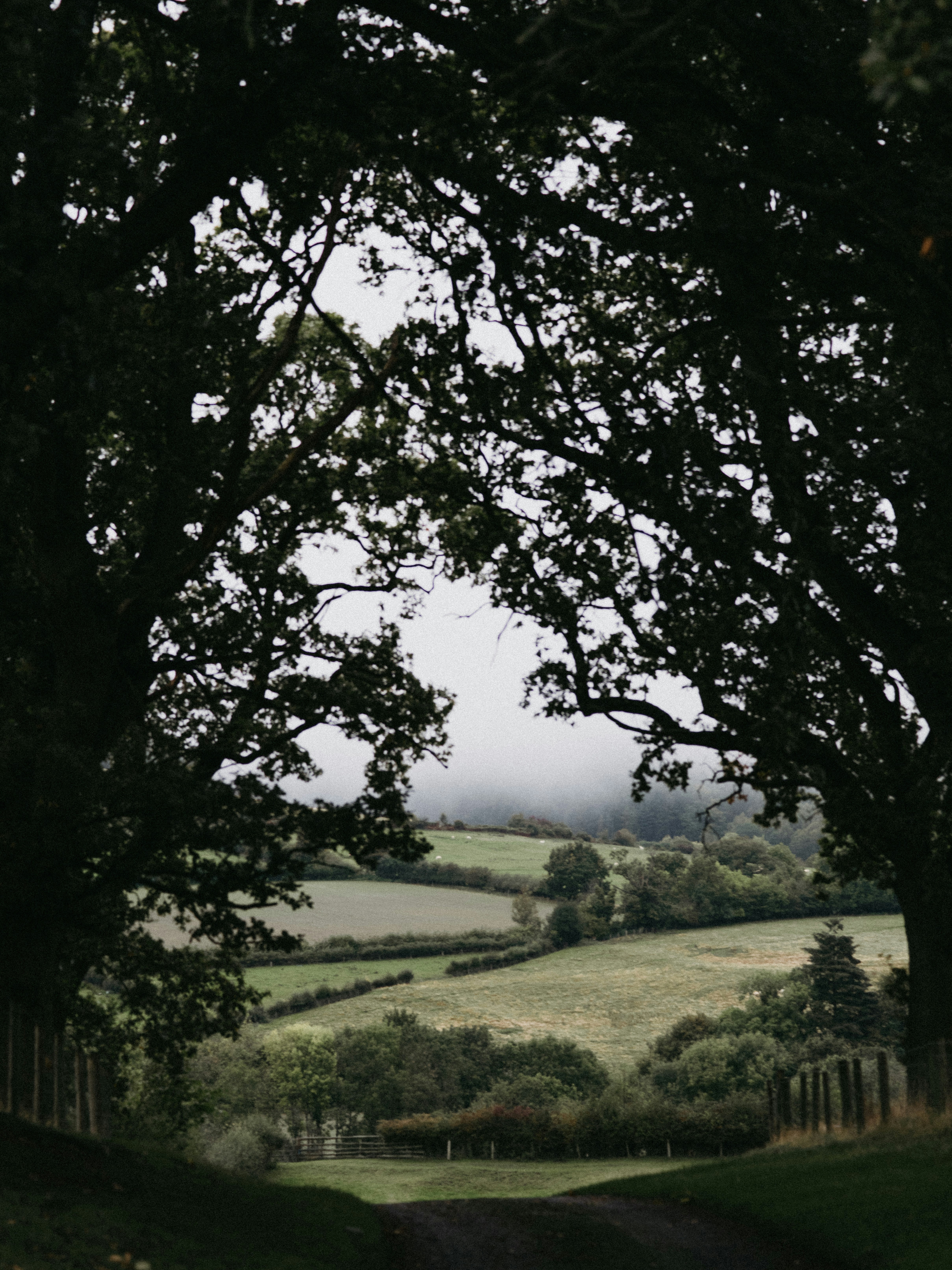 Photo by anniespratt