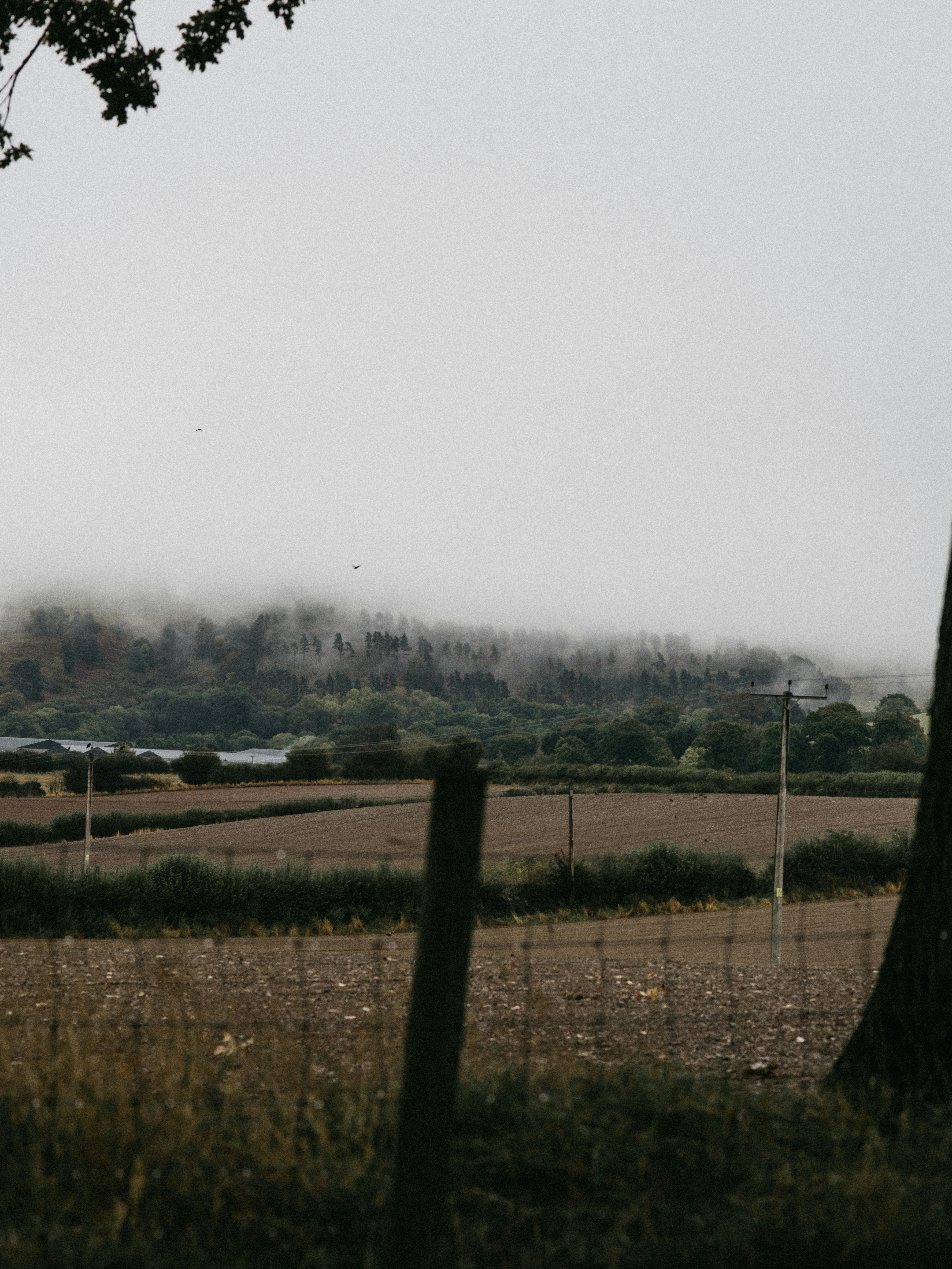 Grey metal cyclone fence during daytime photo Free Grey Image on Unsplash