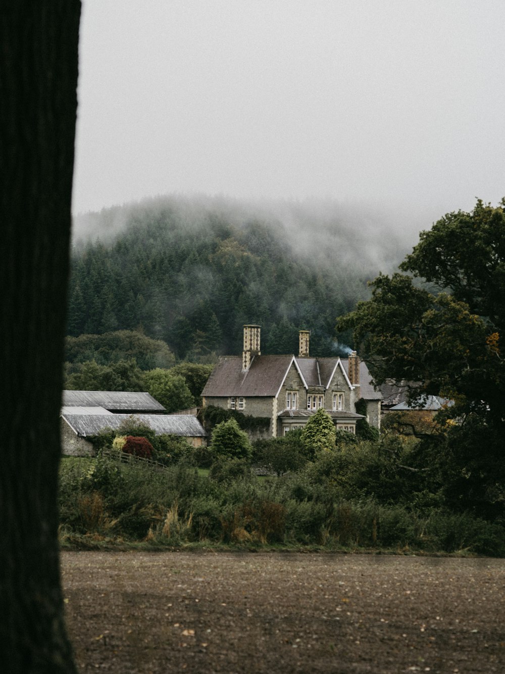 grey and white houses with chimney