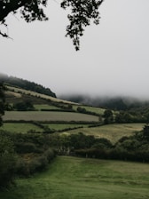 A serene landscape of the New Forest, representing our local roots.