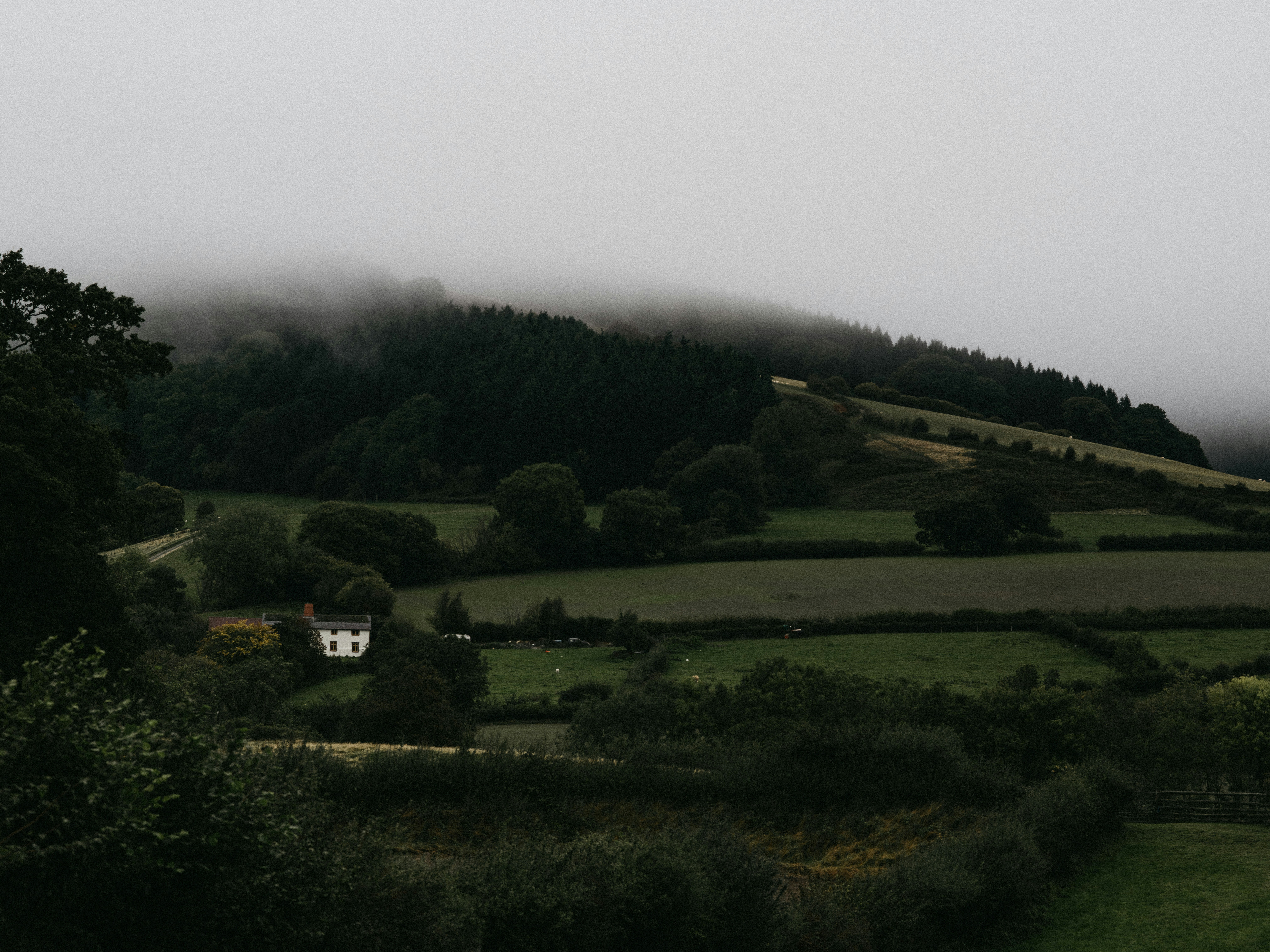 Semaglutide in Wales, Alaska: A Local Lifestyle Guide for Sustainable Weight-Management Habits