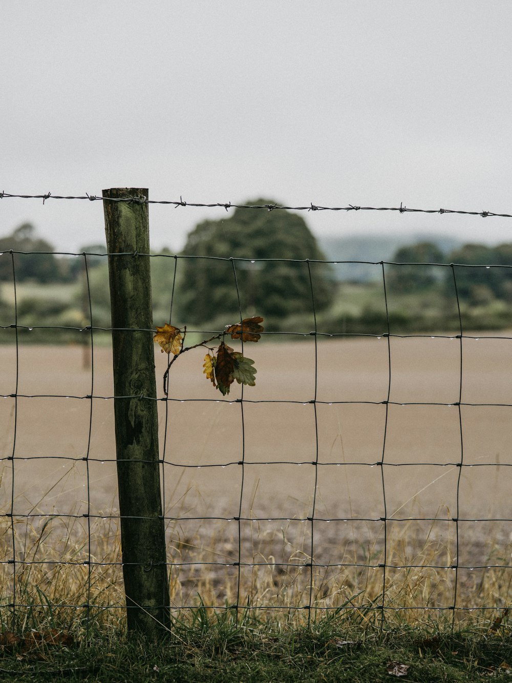 grey cyclone fence during daytime