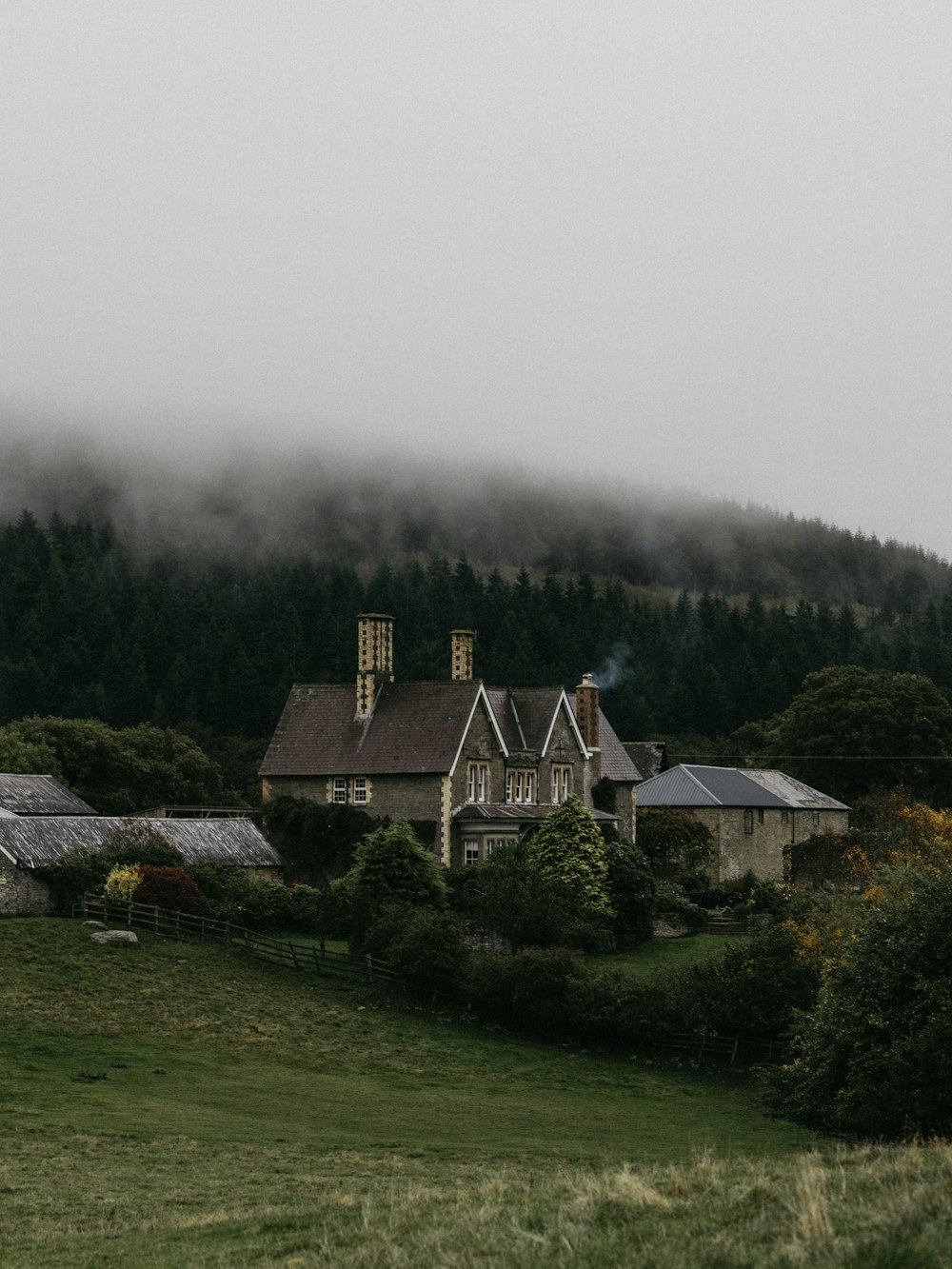 brown and grey houses near bush