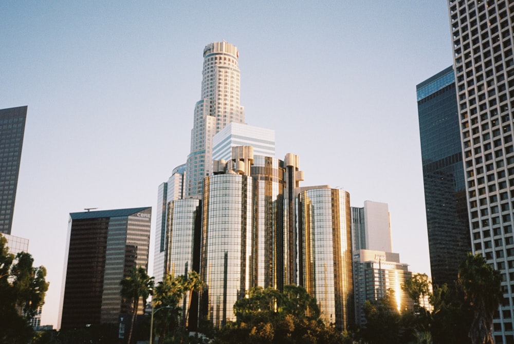 a city skyline with tall buildings and palm trees