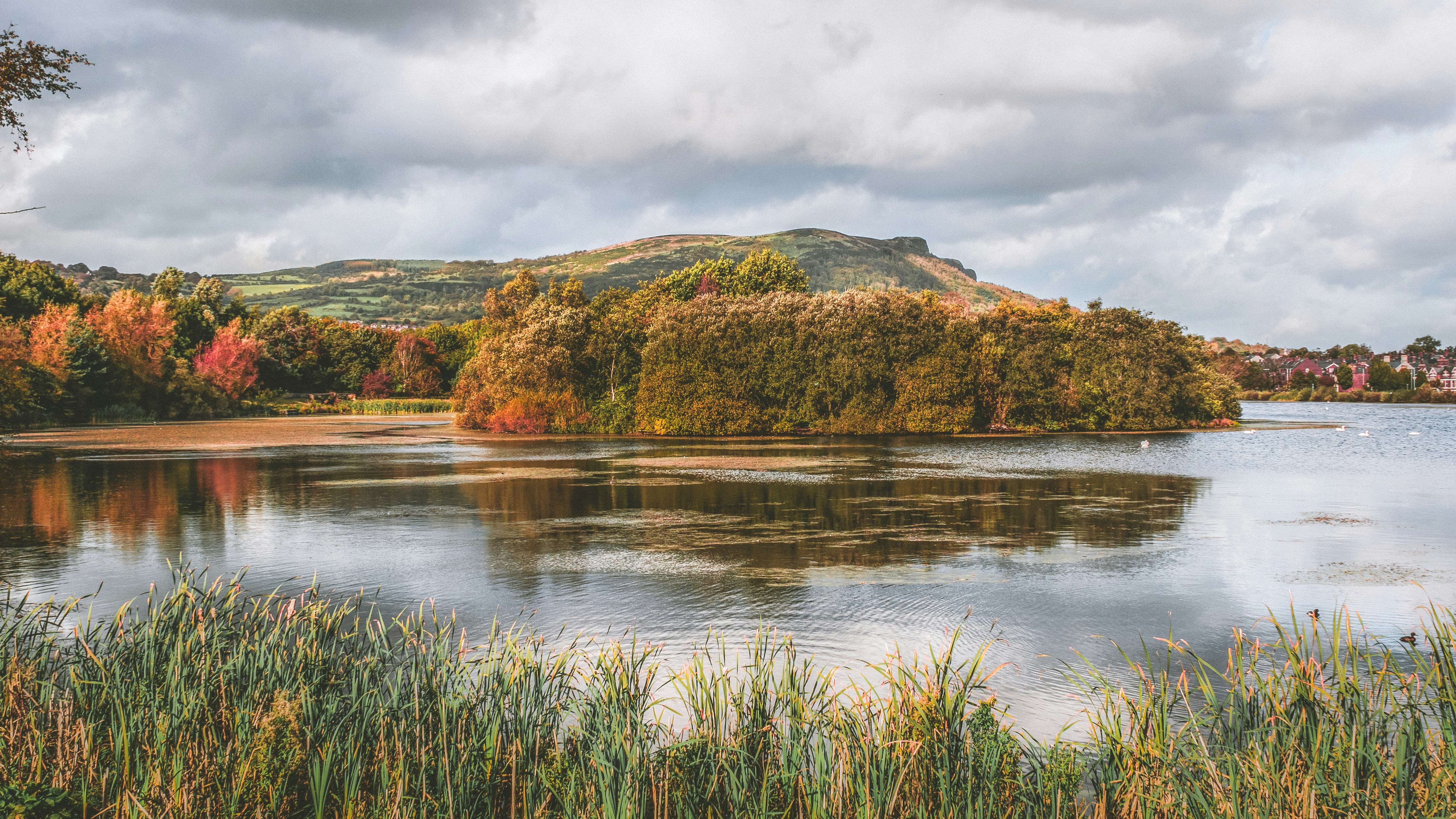 Photo by kmitchhodge