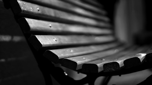 Artistic shot of a sculptural oak bench against white backdrop