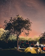 A tranquil night scene features a starlit sky with streaks indicating shooting stars. The foreground shows a camping site with multiple tents, illuminated by soft lighting. Trees surround the area, with a prominent tree at the center, and colorful pennant banners add a festive touch.