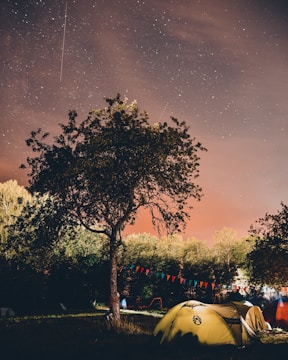 A tranquil night scene features a starlit sky with streaks indicating shooting stars. The foreground shows a camping site with multiple tents, illuminated by soft lighting. Trees surround the area, with a prominent tree at the center, and colorful pennant banners add a festive touch.