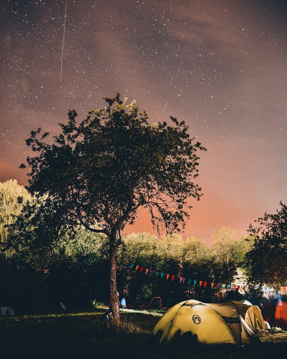 green trees beside yellow dome tent