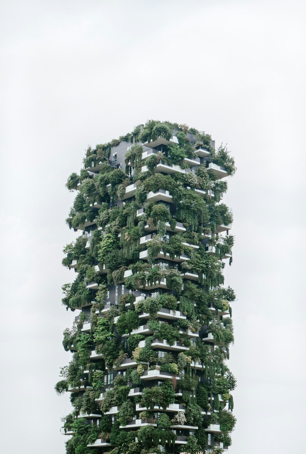 building with plants